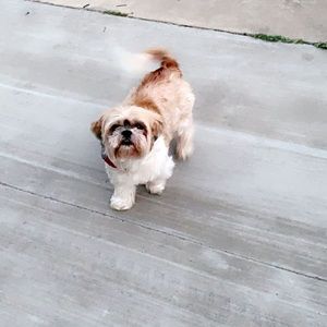 Meet your Posher, Jalynn